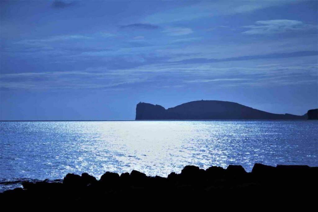 Alghero Sun & Sea - Spiaggia A 50 Metri 外观 照片